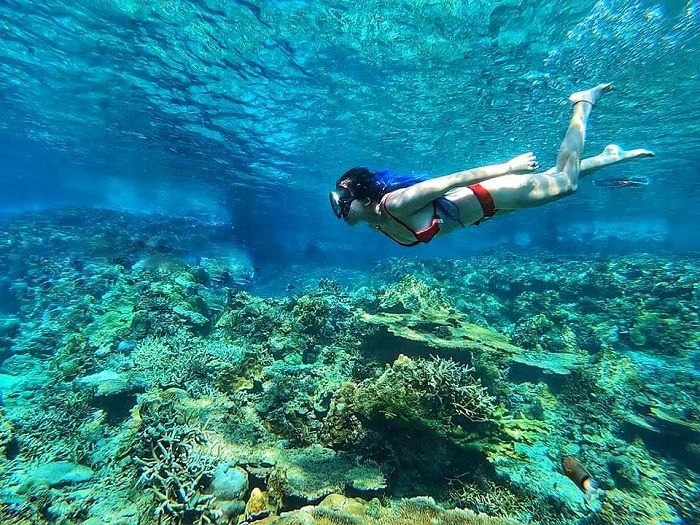 Tour Lặn Biển Hòn Mun Trọn Gói Giá Rẻ Siêu Ưu Đãi