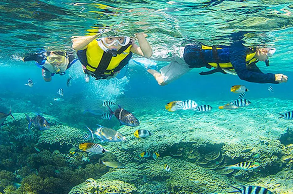 Tour Đà Lạt - Nha Trang 5 ngày 4 đêm giá rẻ trọn ưu đãi