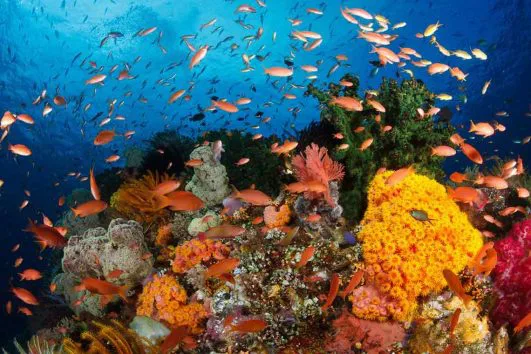 Tour Nha Trang 3 ngày 2 đêm trọn gói ưu đãi siêu rẻ